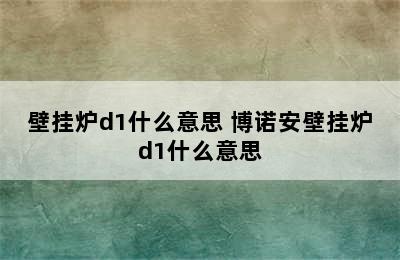 壁挂炉d1什么意思 博诺安壁挂炉d1什么意思